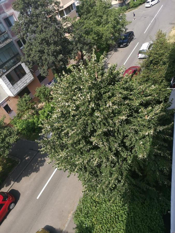 Bloom Box Apartments Craiova Buitenkant foto