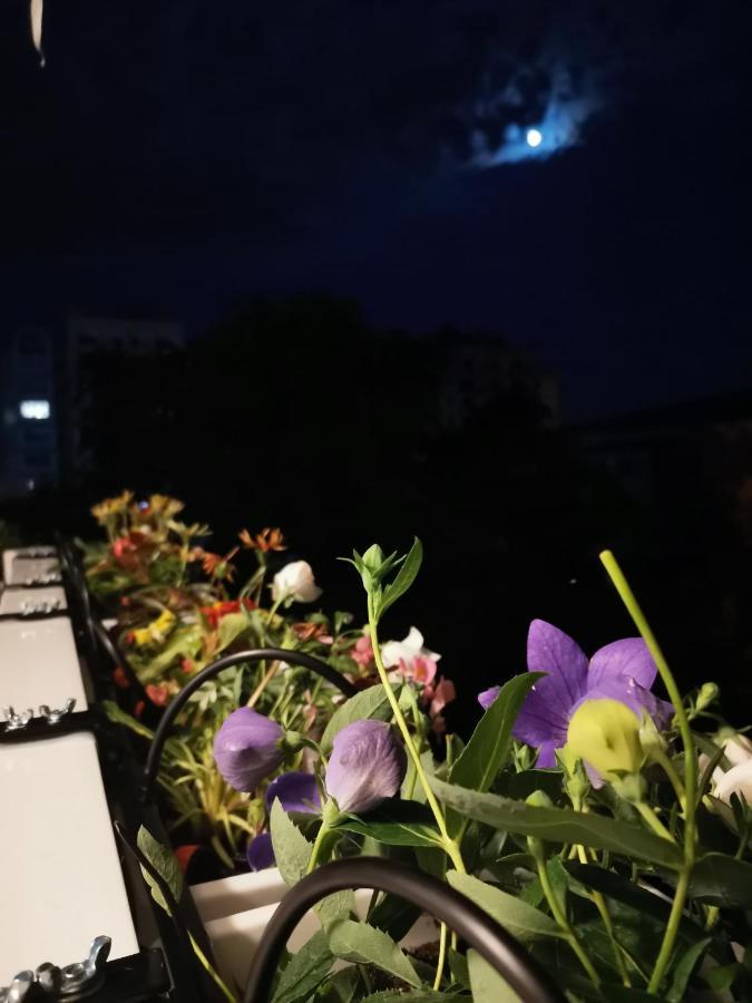 Bloom Box Apartments Craiova Buitenkant foto